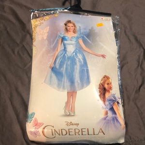 Sale! Disney Cinderella Deluxe Adult Costume